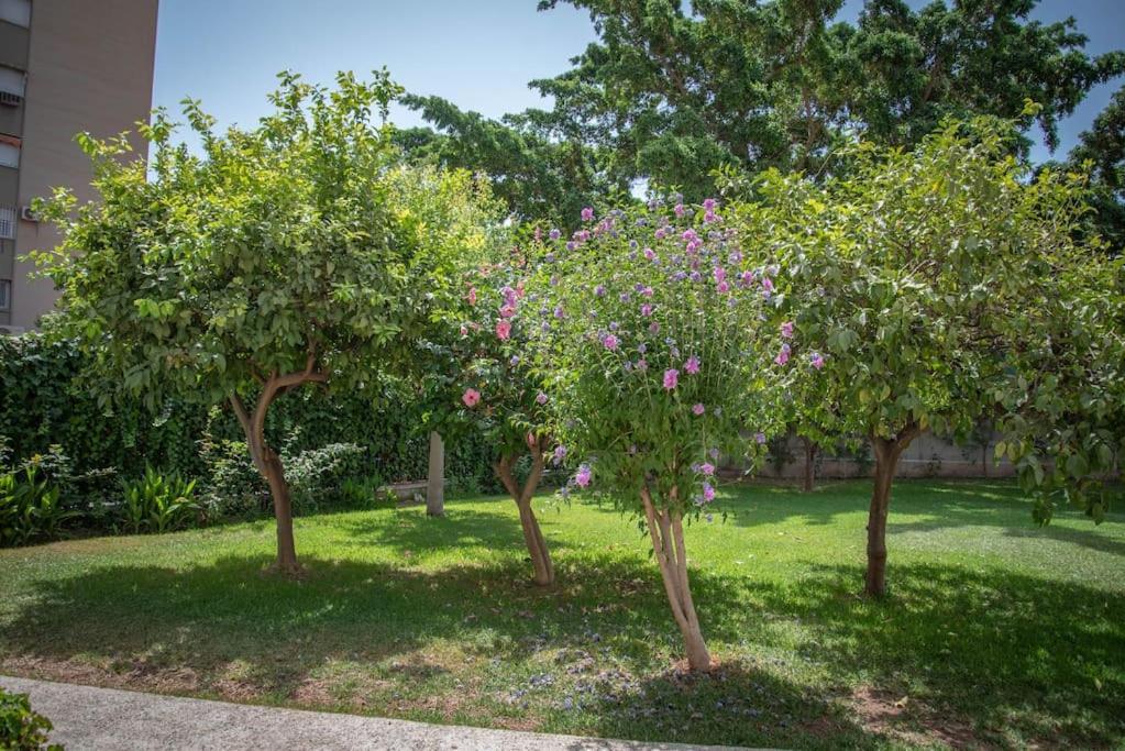 Apartament Piso Con Jardin Malaga Zewnętrze zdjęcie